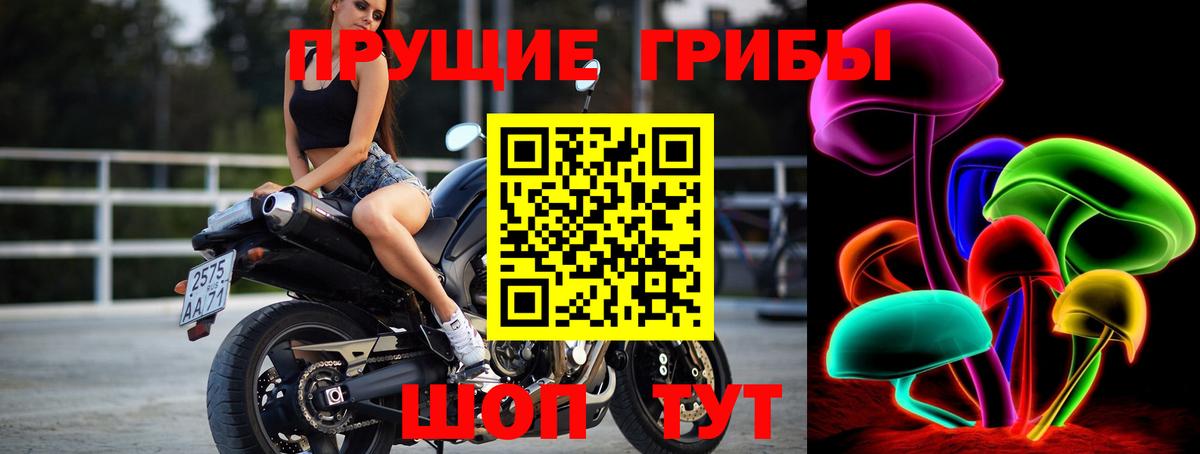 Псилоцибиновые грибы Psilocybe  Галлюциногенные грибы GOLDEN TEACHER  Грозный  Вход с VPN 